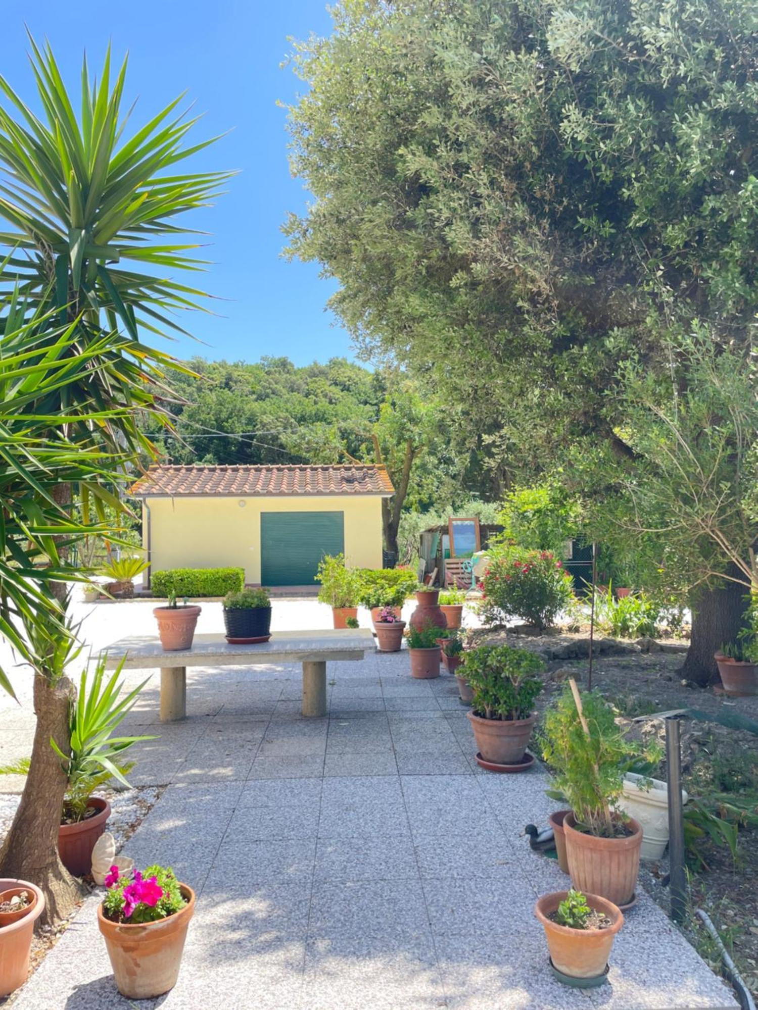 Il Leccio Agriturismo Fiorino Eksteriør bilde