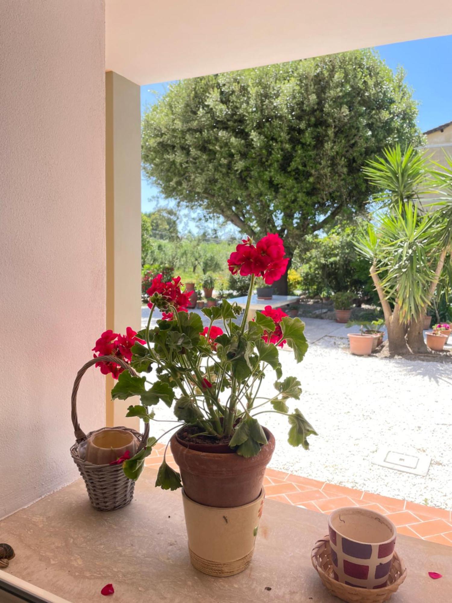 Il Leccio Agriturismo Fiorino Eksteriør bilde