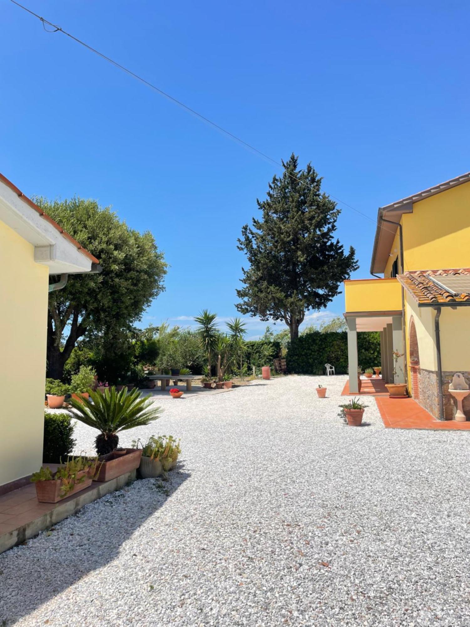 Il Leccio Agriturismo Fiorino Eksteriør bilde