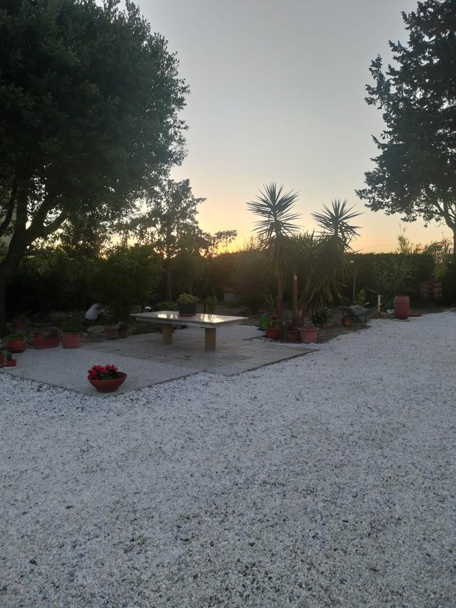 Il Leccio Agriturismo Fiorino Eksteriør bilde