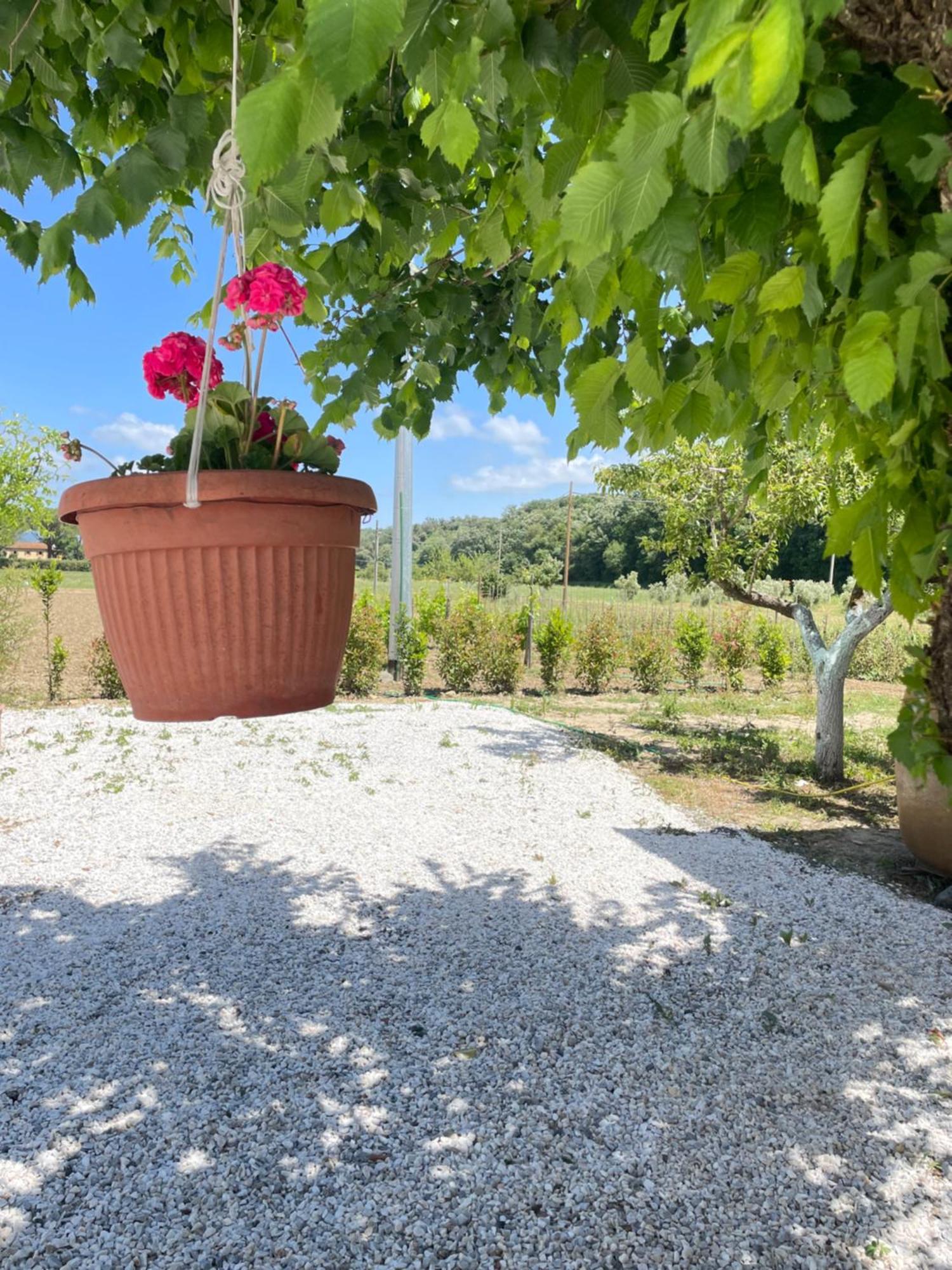 Il Leccio Agriturismo Fiorino Eksteriør bilde