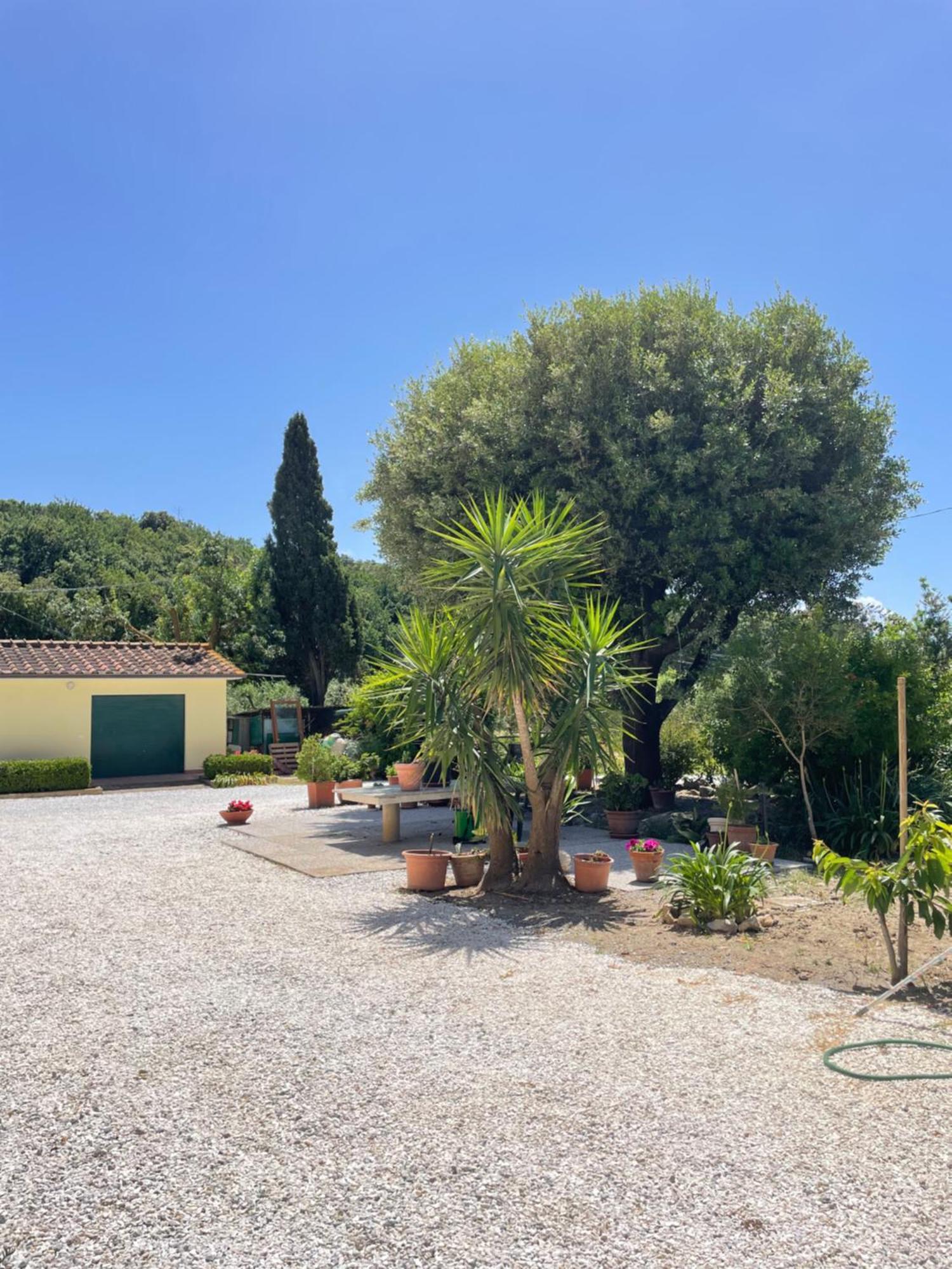 Il Leccio Agriturismo Fiorino Eksteriør bilde