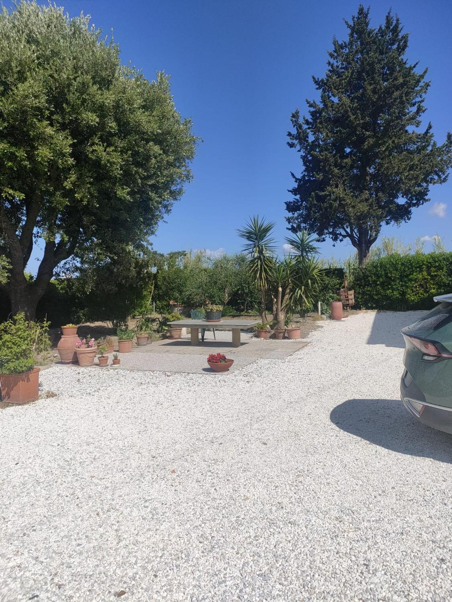 Il Leccio Agriturismo Fiorino Eksteriør bilde