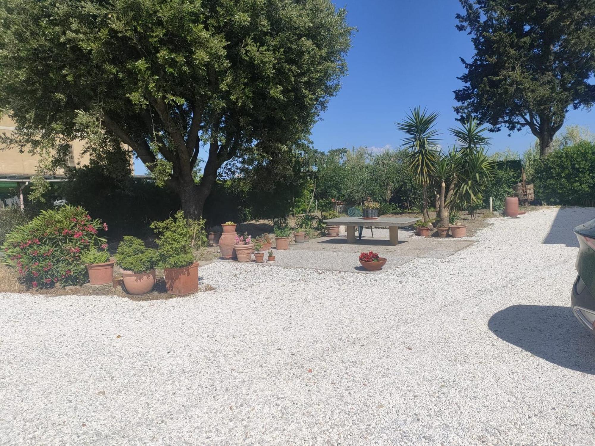 Il Leccio Agriturismo Fiorino Eksteriør bilde