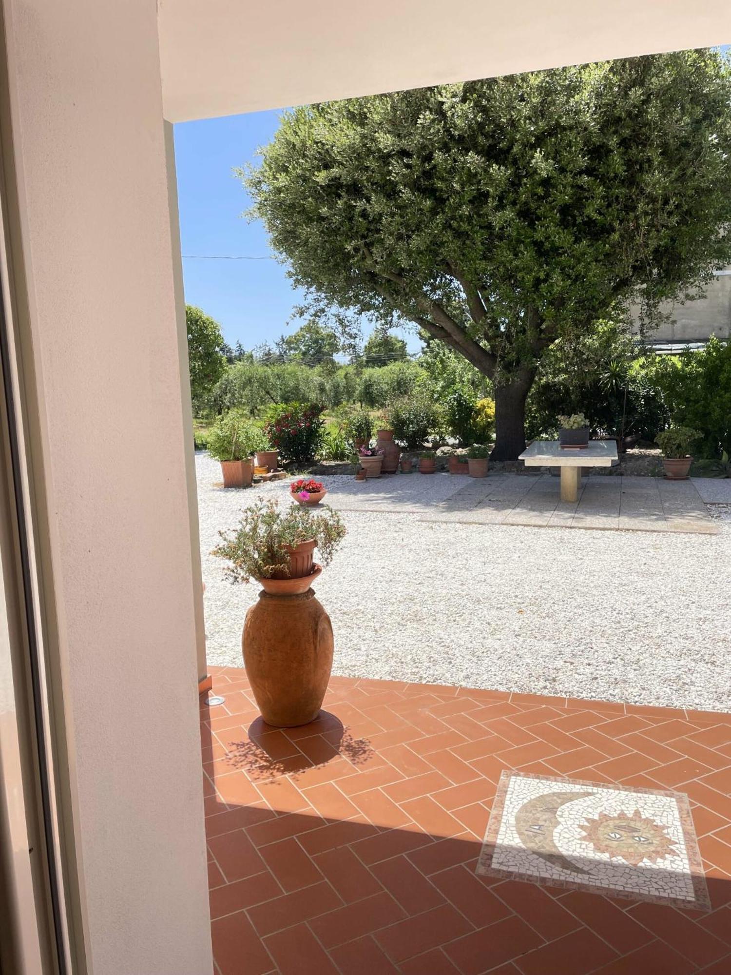 Il Leccio Agriturismo Fiorino Eksteriør bilde